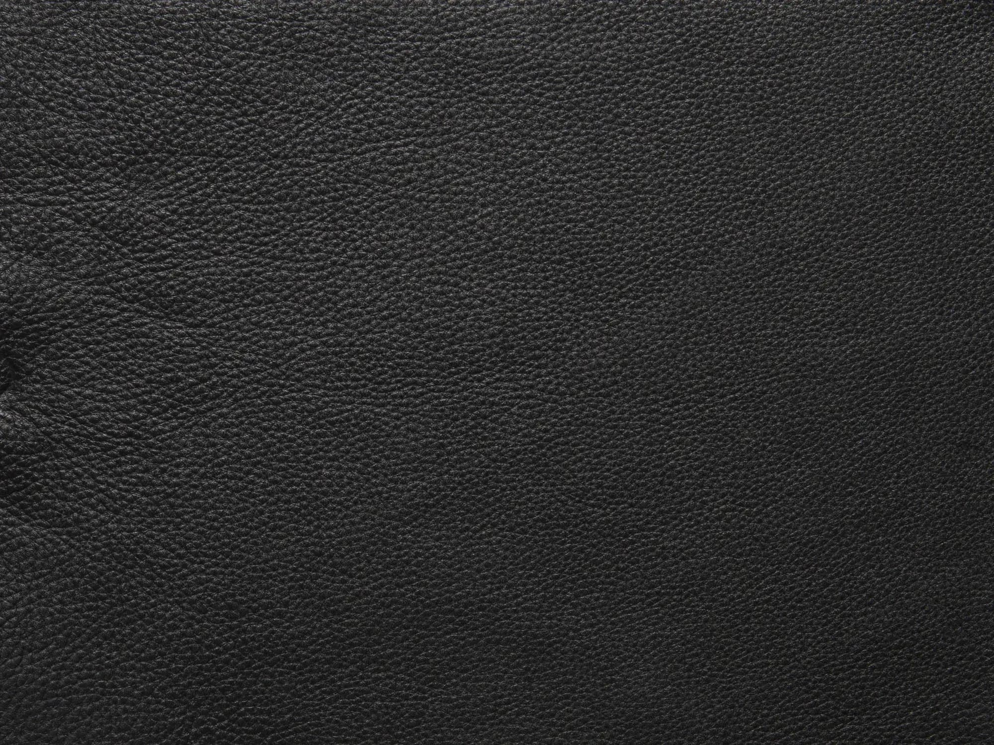 BelleF319Black_2210.webp