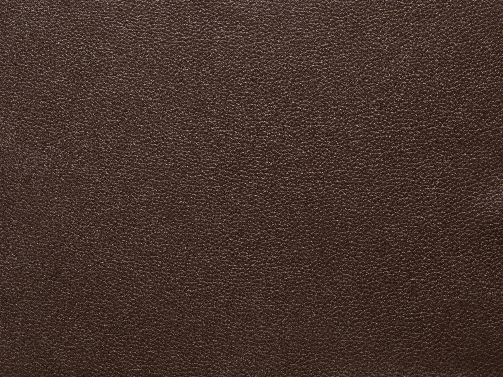 BelleFF70Coffee_2202.webp