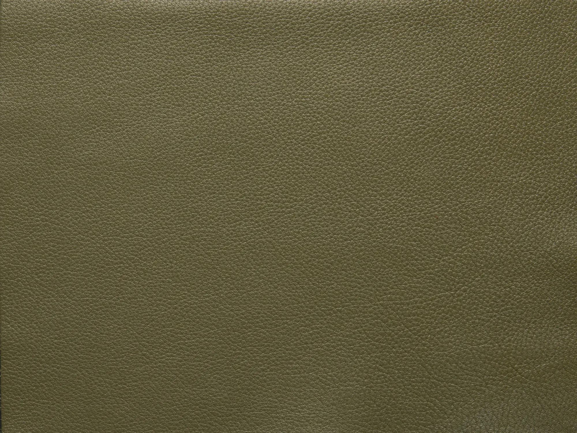 BelleFF72OliveGreen_2206.webp