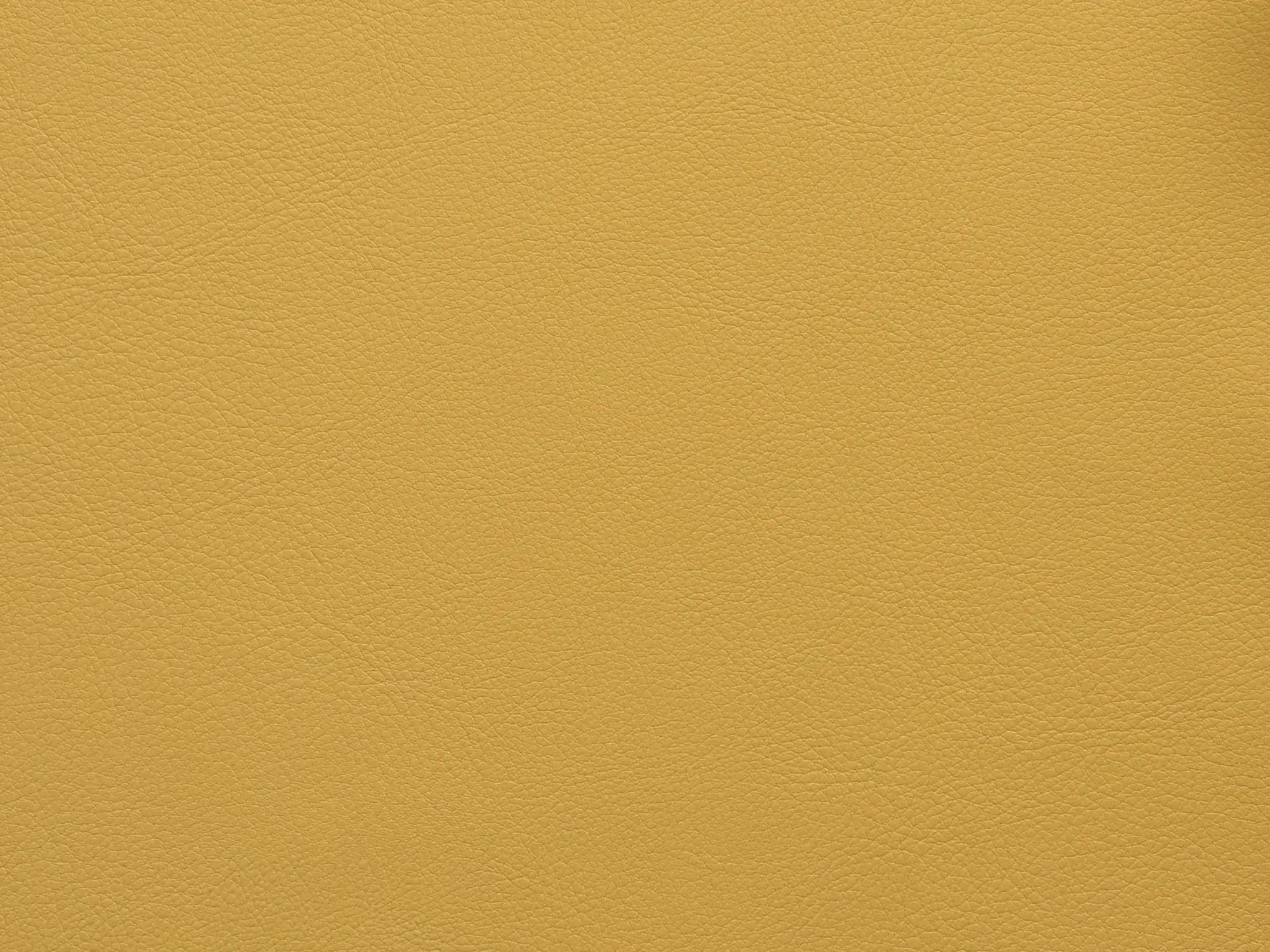 BoxerES012PaleYellow_2236.webp