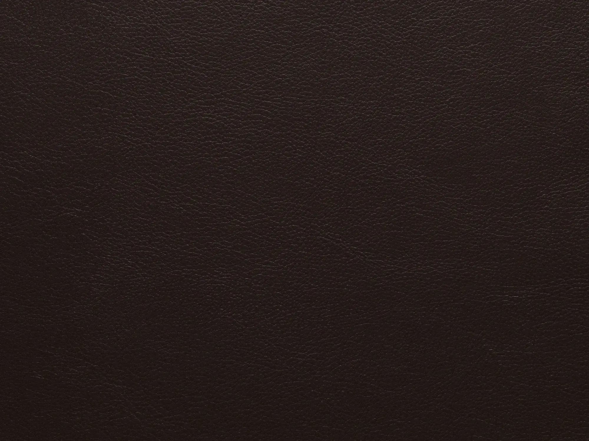 BoxerES013Chocolate_2252.webp