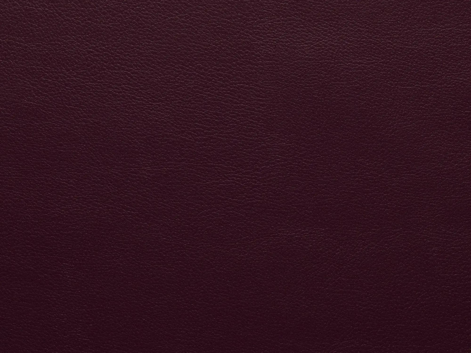 BoxerES017Burgundy_2248.webp