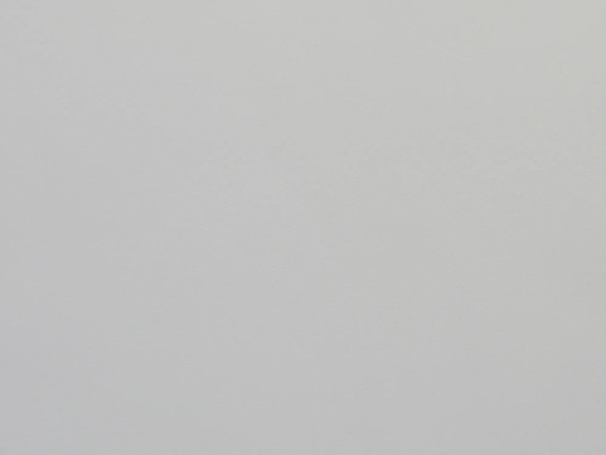 Calf0200White_2130.webp