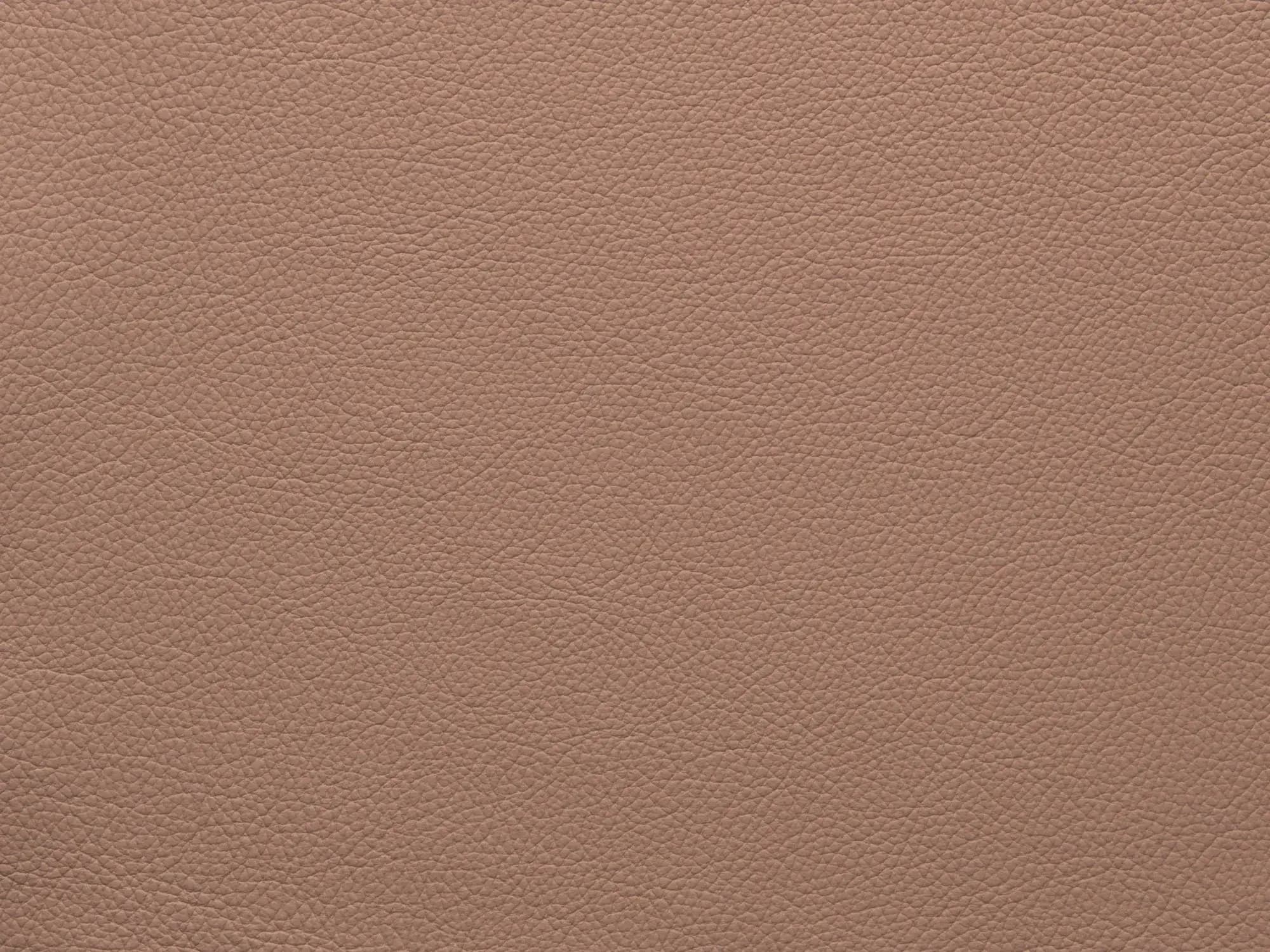 EssentialBrushFF86_2177.webp