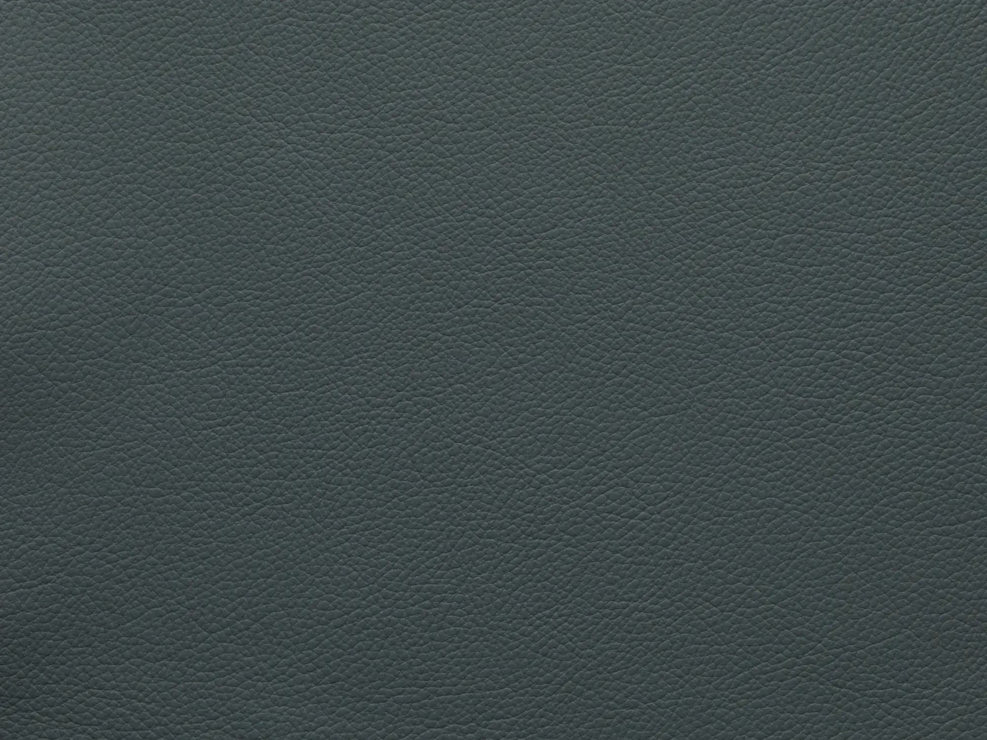 EssentialGoblinBlueFF83_2179.webp