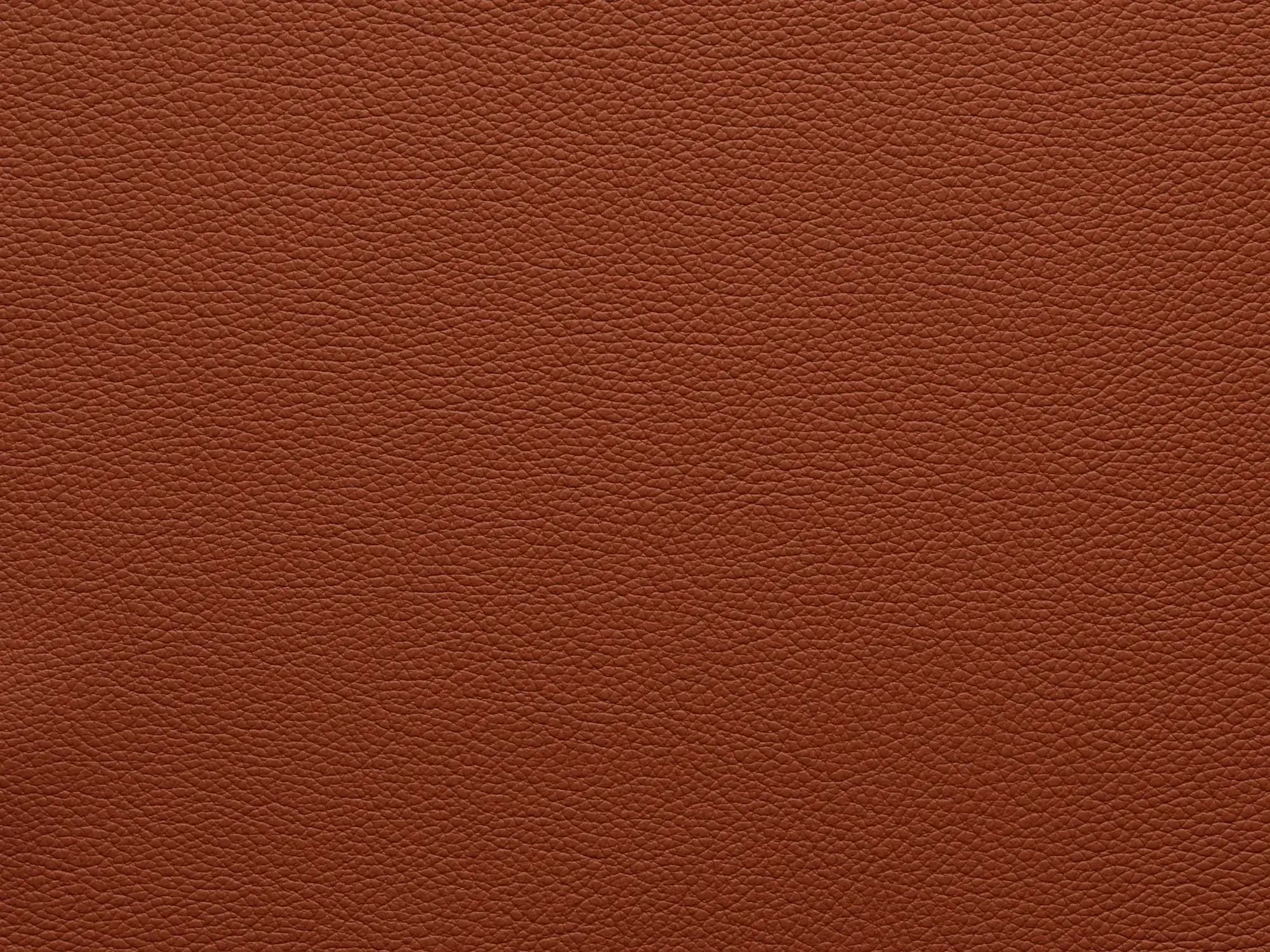 EssentialIndiaFF85_2183.webp