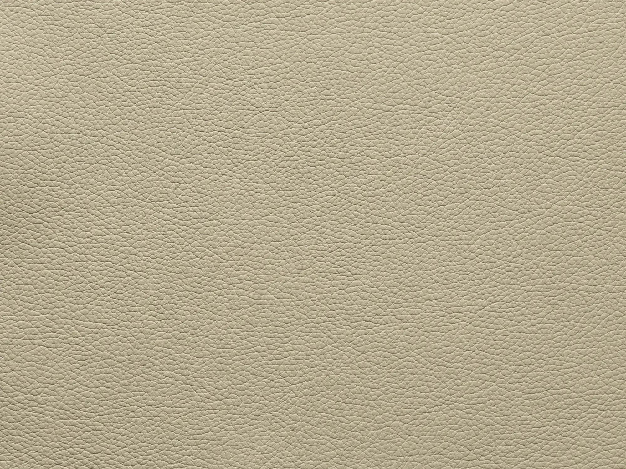 EssentialSandshellFF87_2175.webp