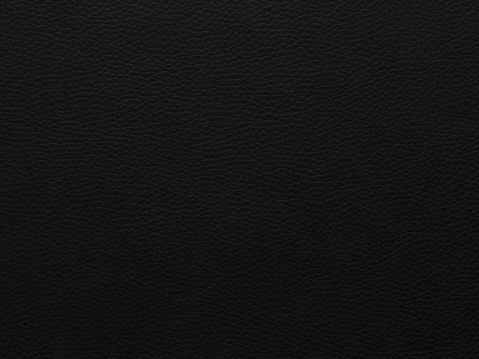 TerrierZ0100Black_2213.webp