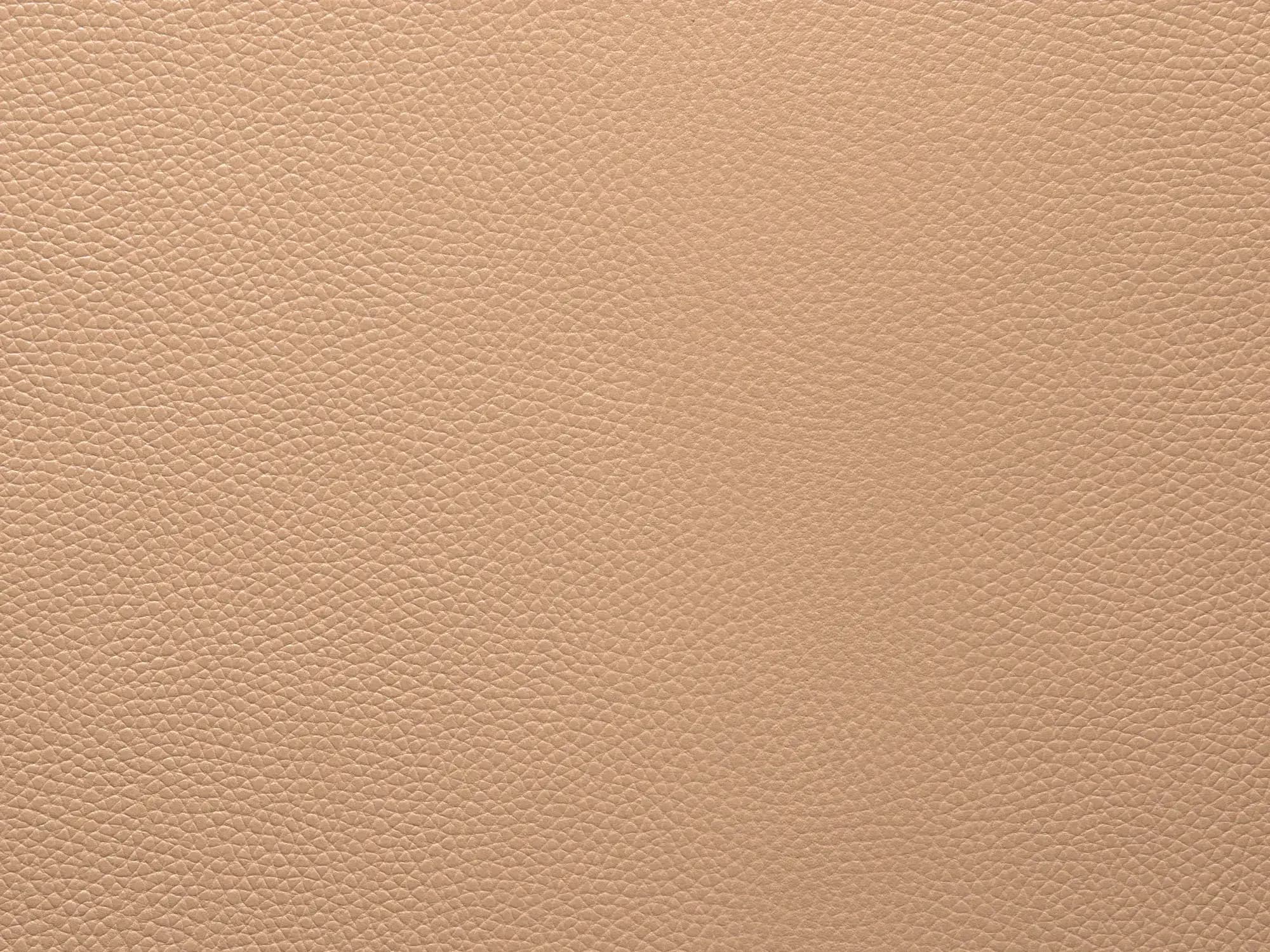 TerrierZ0305Desert_2230.webp