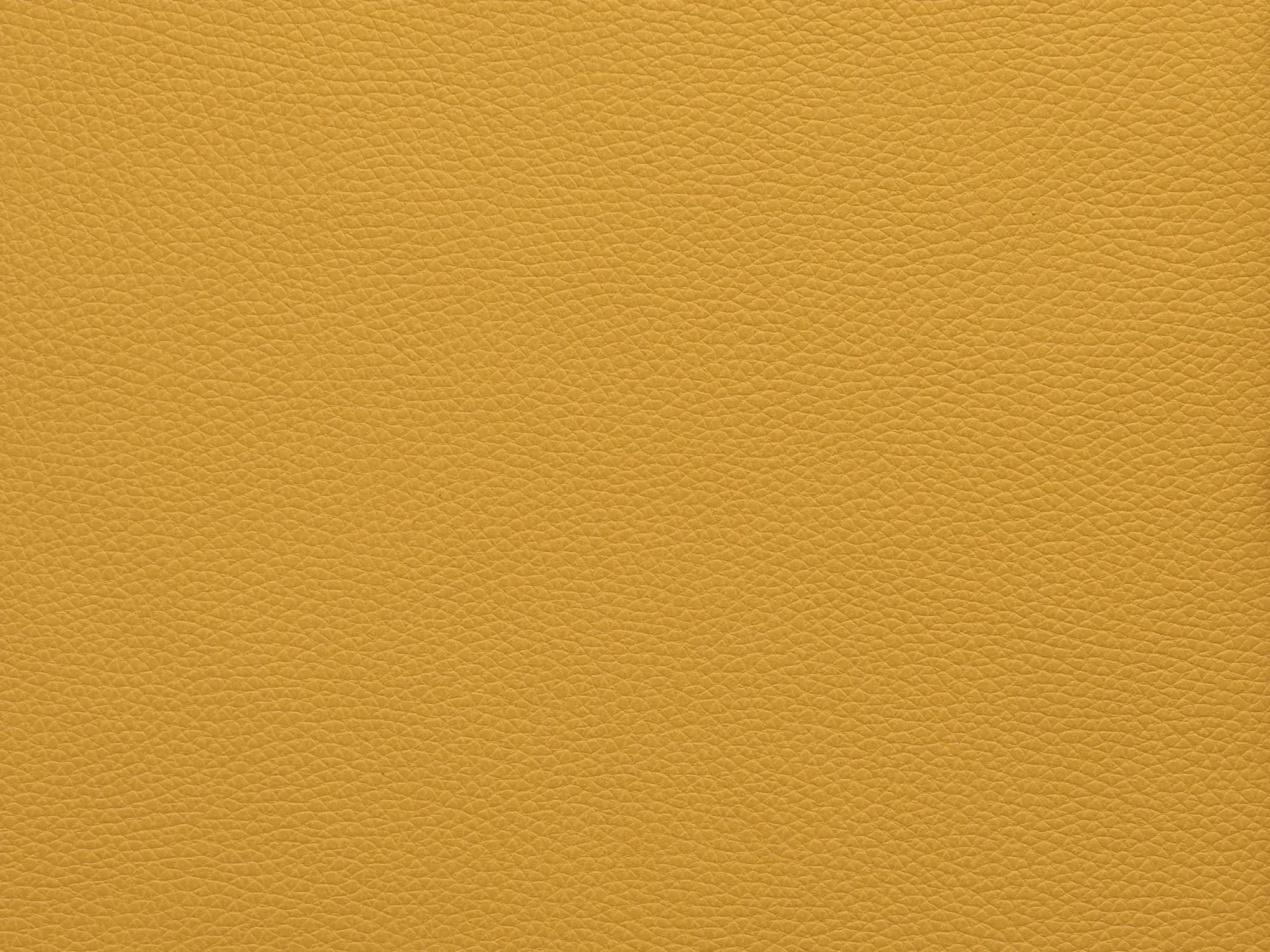 TerrierZ0306Yellow_2221.webp
