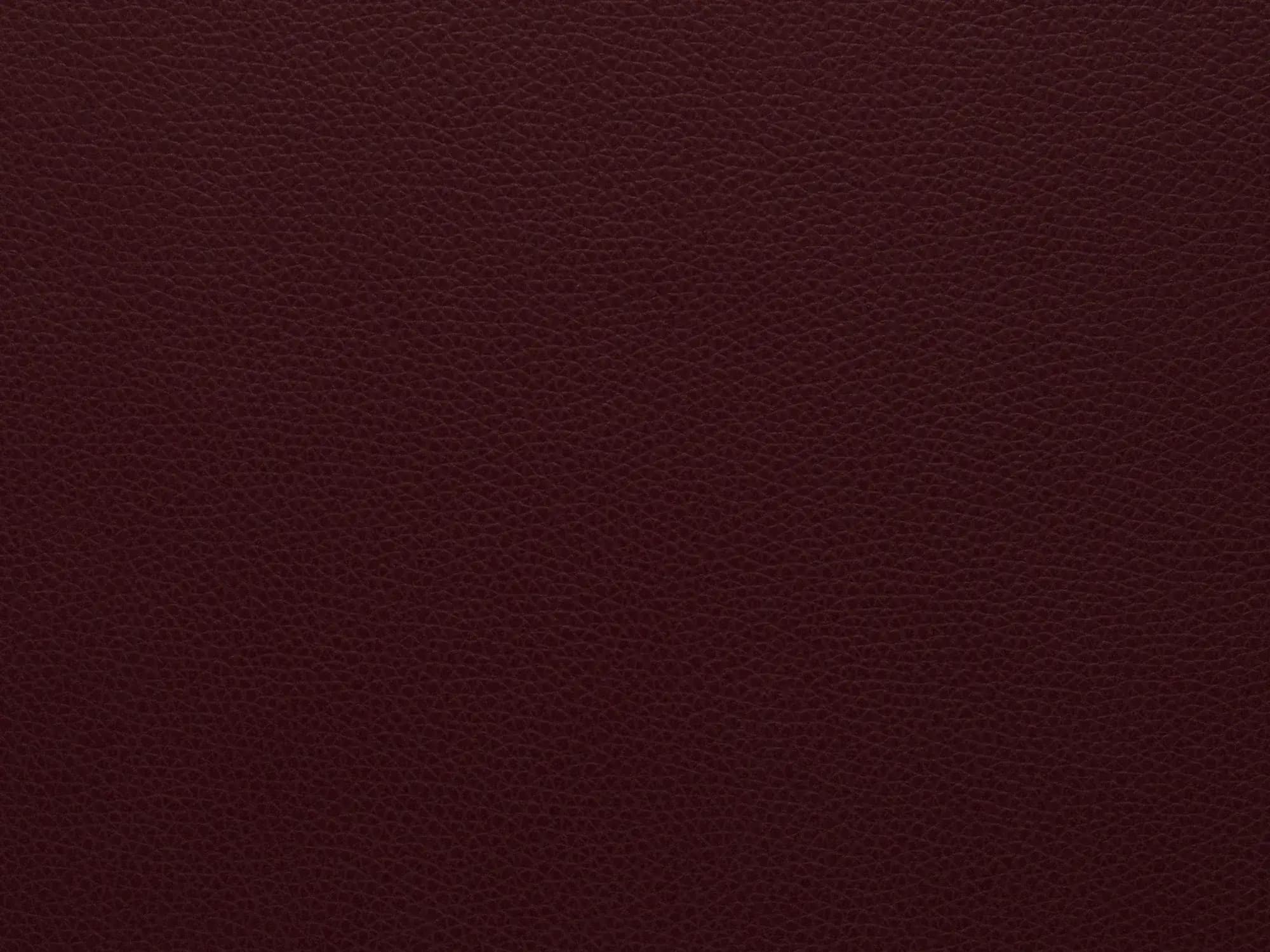 TerrierZ1605Wine_2219.webp