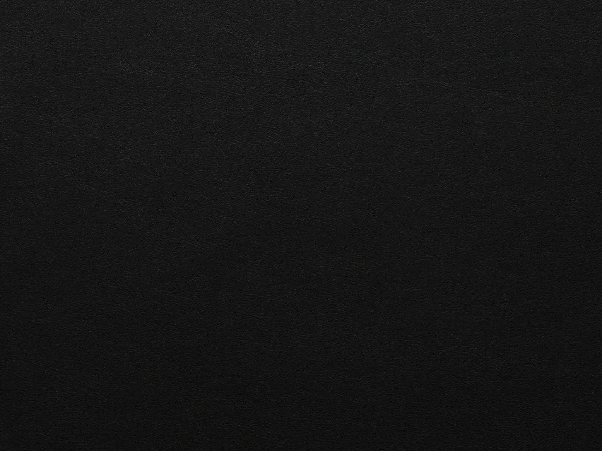 TreasureF319Black_2099.webp