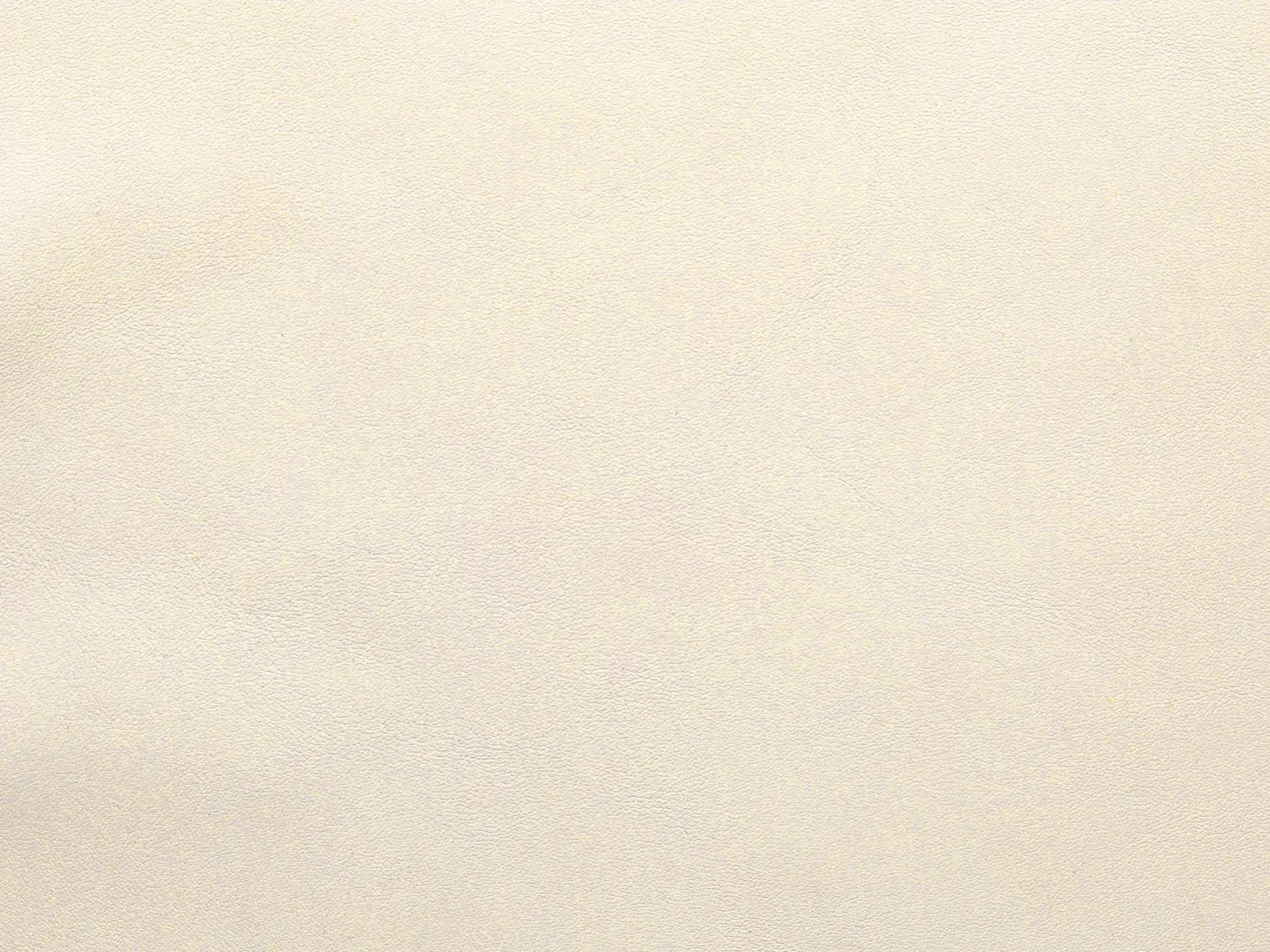 TreasureF552Cotton_2083.webp