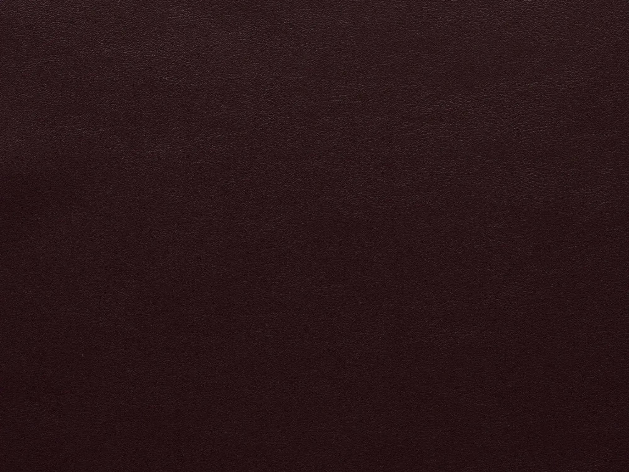 TreasureFF69Oxblood_2094.webp