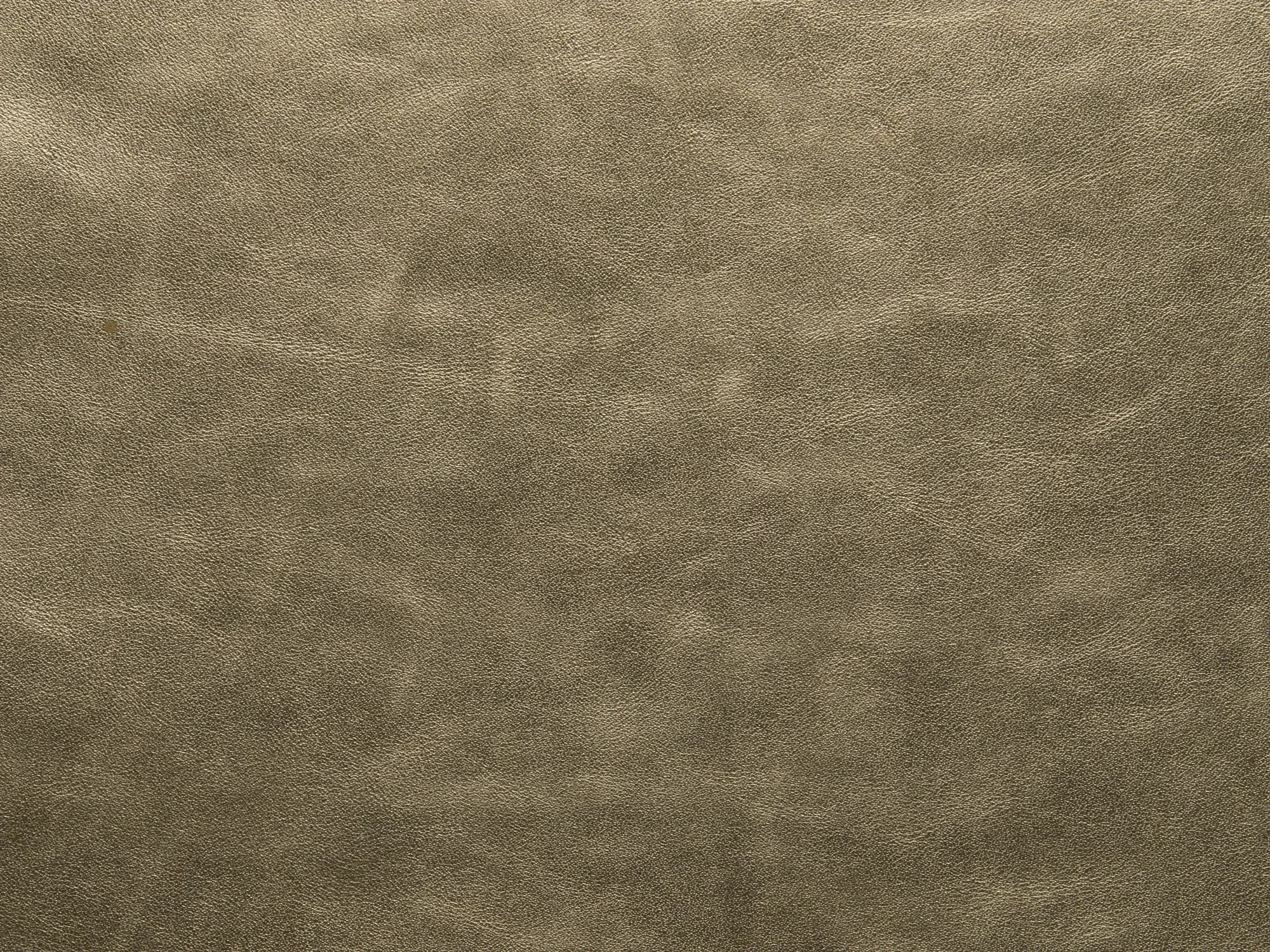 TreasureFF79PaleGold_2079.webp