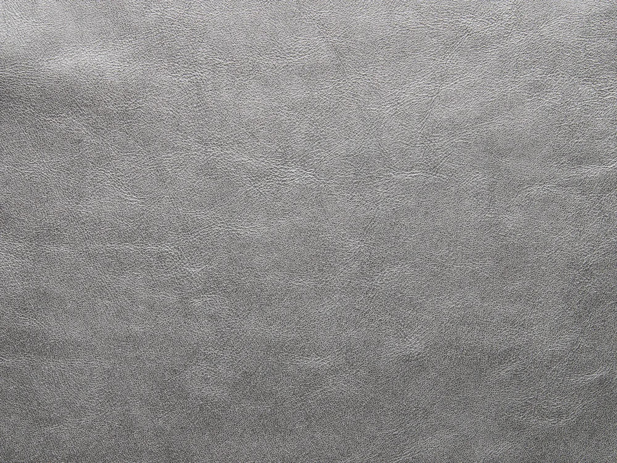 TreasureFF80Silver_2077.webp