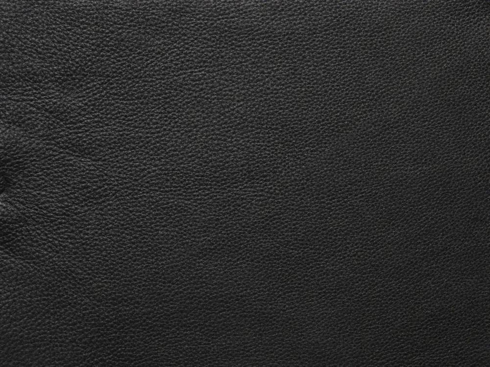 BelleF319Black_2210.webp