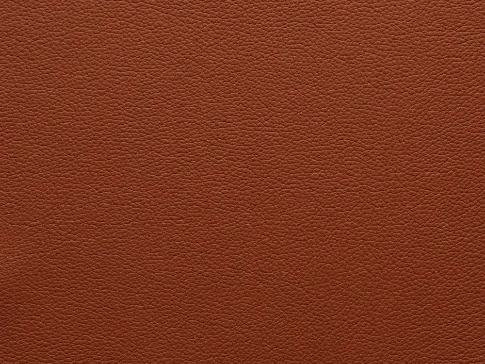 EssentialIndiaFF85_2183.webp