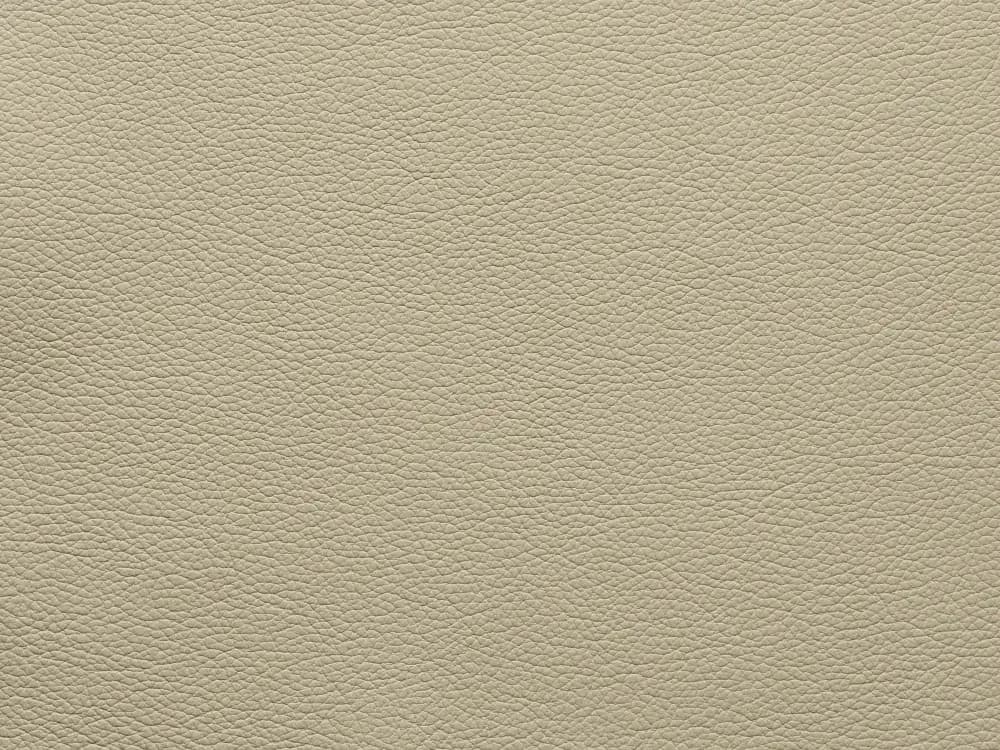 EssentialSandshellFF87_2175.webp