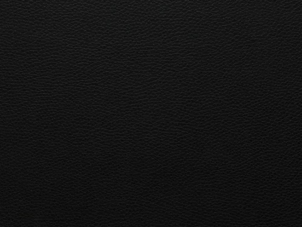 TerrierZ0100Black_2213.webp