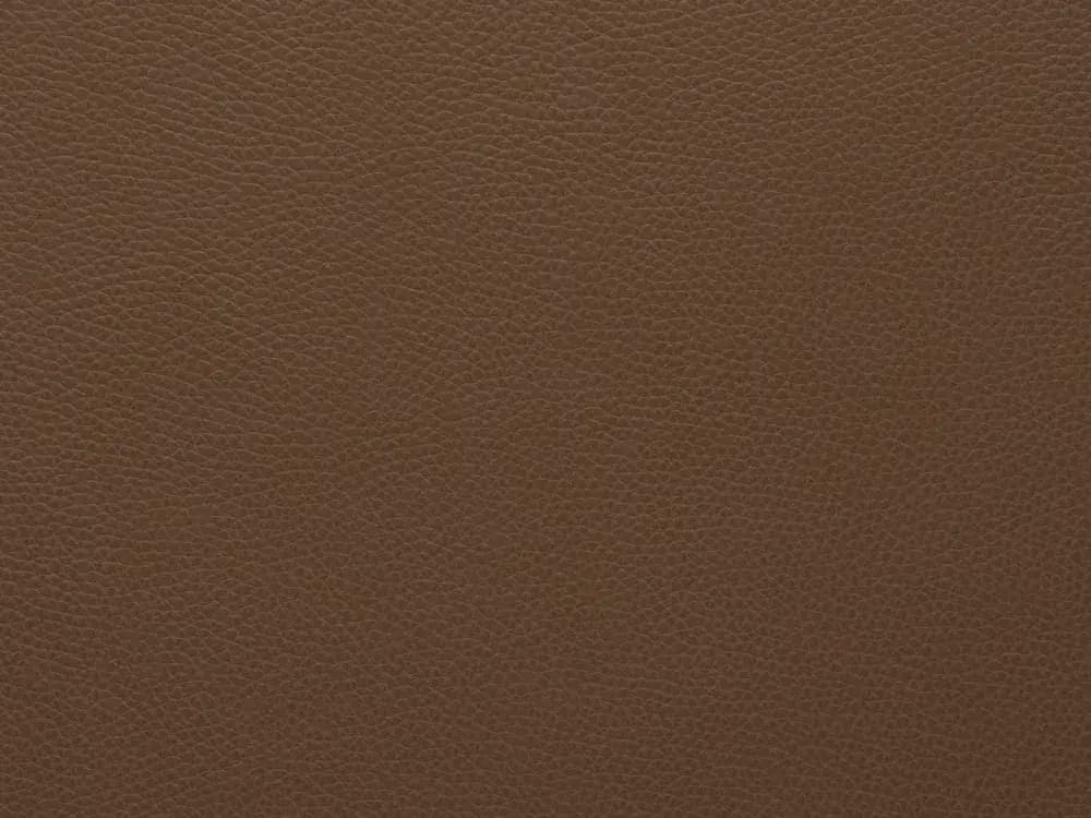TerrierZ0304Toffee_2228.webp