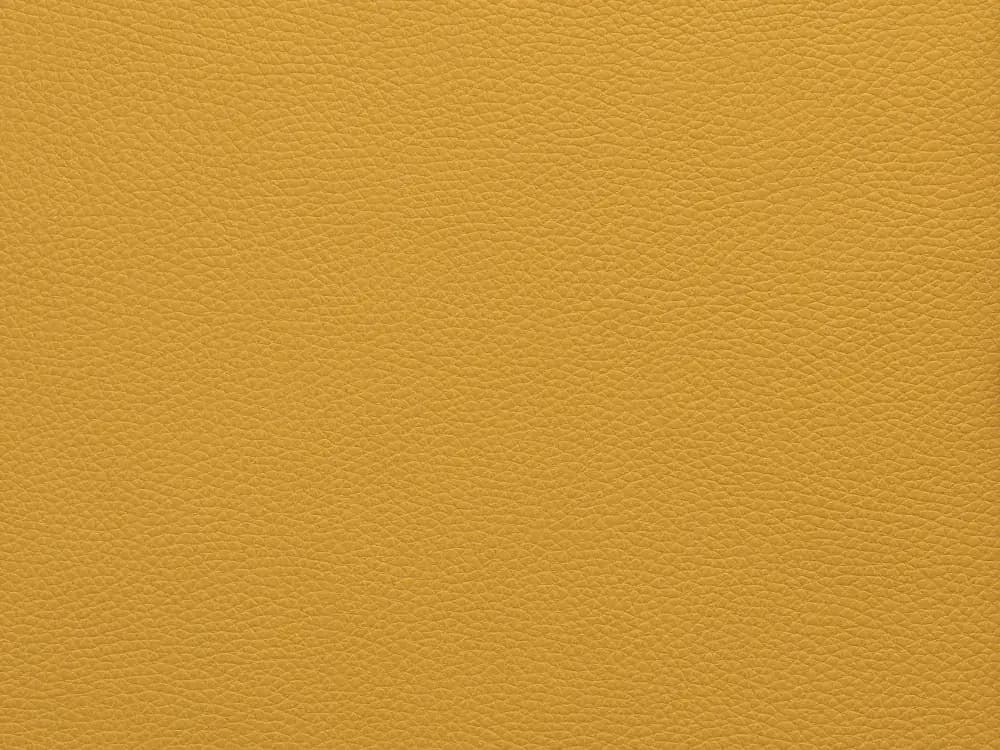 TerrierZ0306Yellow_2221.webp