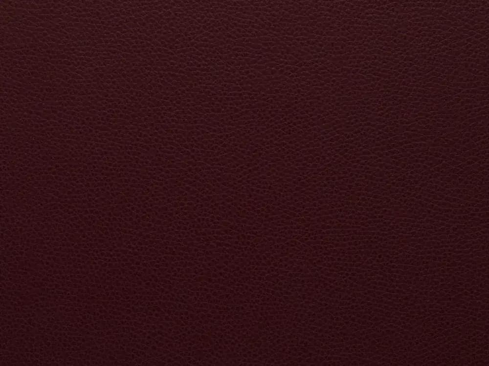 TerrierZ1605Wine_2219.webp