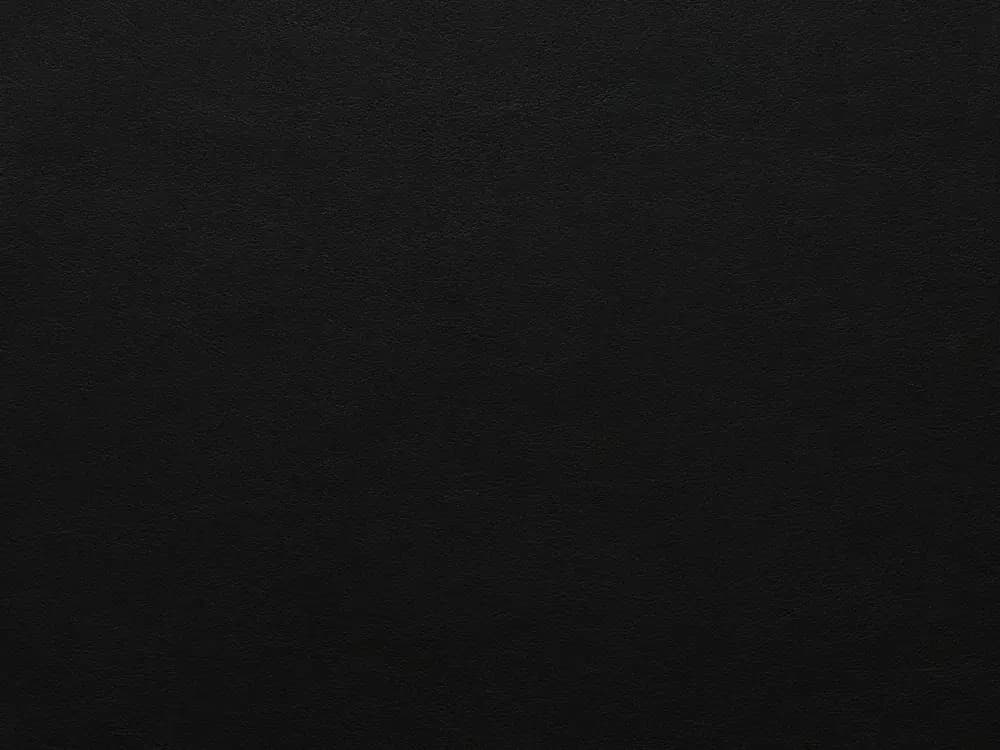 TreasureF319Black_2099.webp