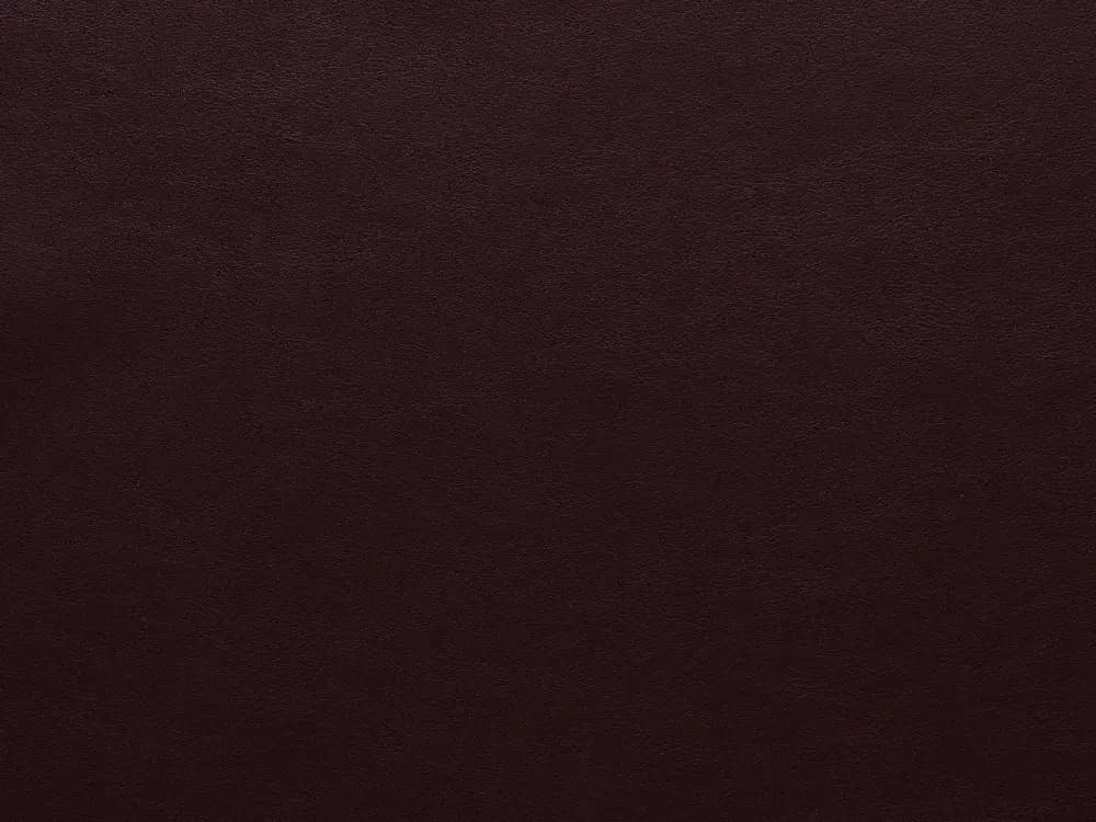 TreasureFF69Oxblood_2094.webp