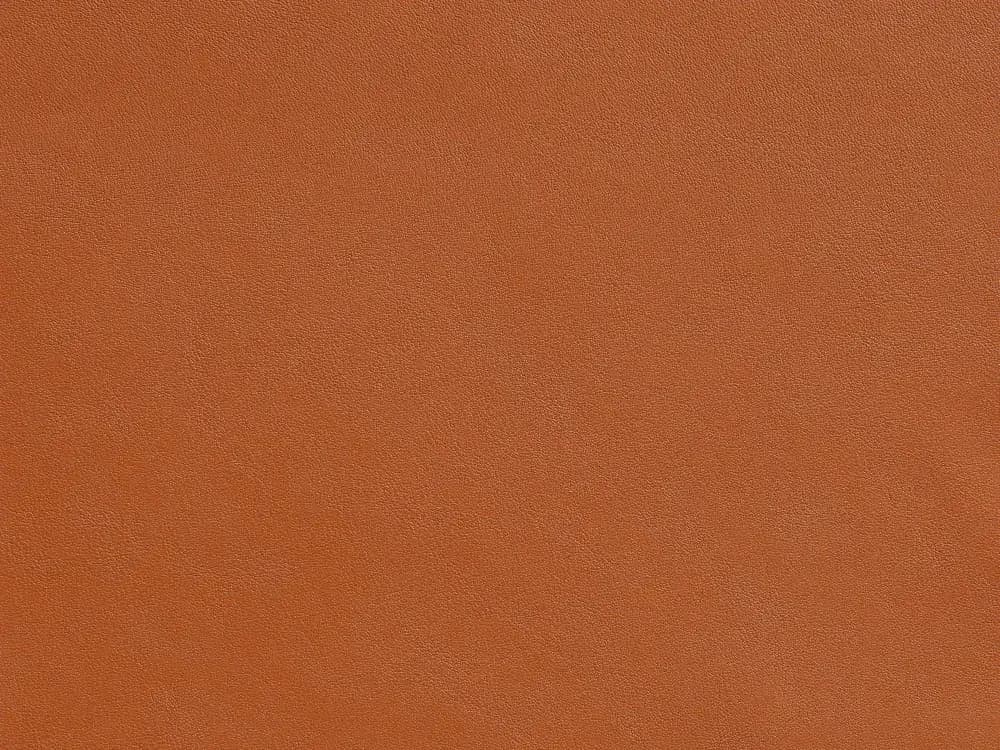 TreasureFF76Tan_2091.webp