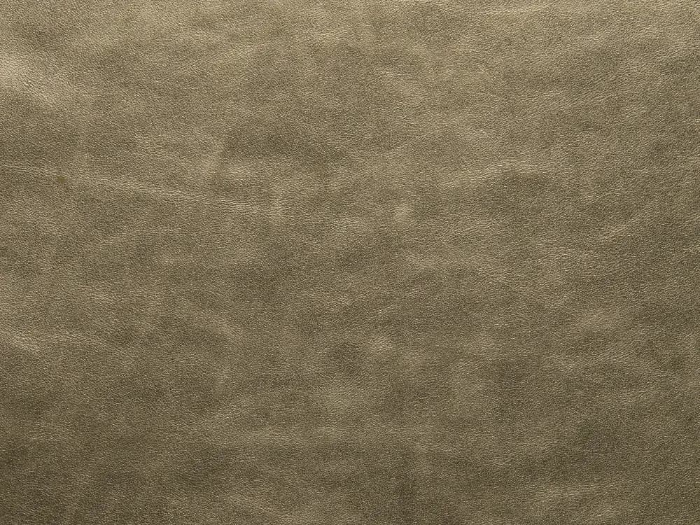 TreasureFF79PaleGold_2079.webp