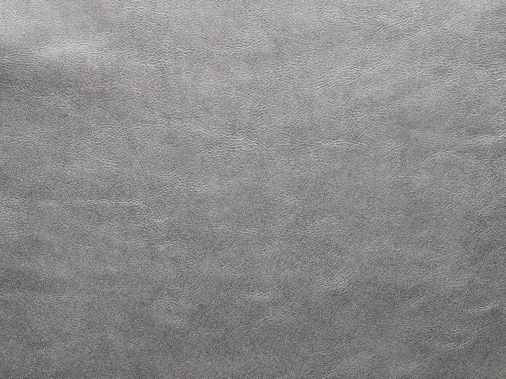 TreasureFF80Silver_2077.webp